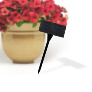 50 Smooth Angled T-Signs 2-1/2" x 4" x 16"