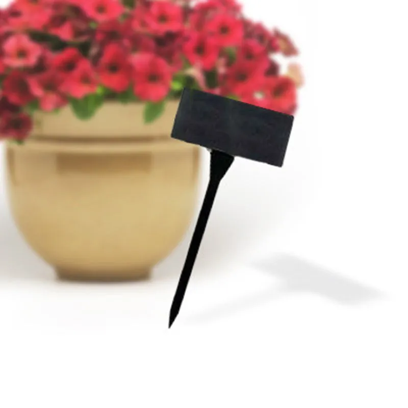 50 Smooth Angled T-Signs 2-1/2" x 4" x 16"