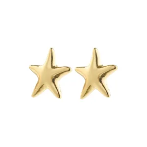 Force Earring