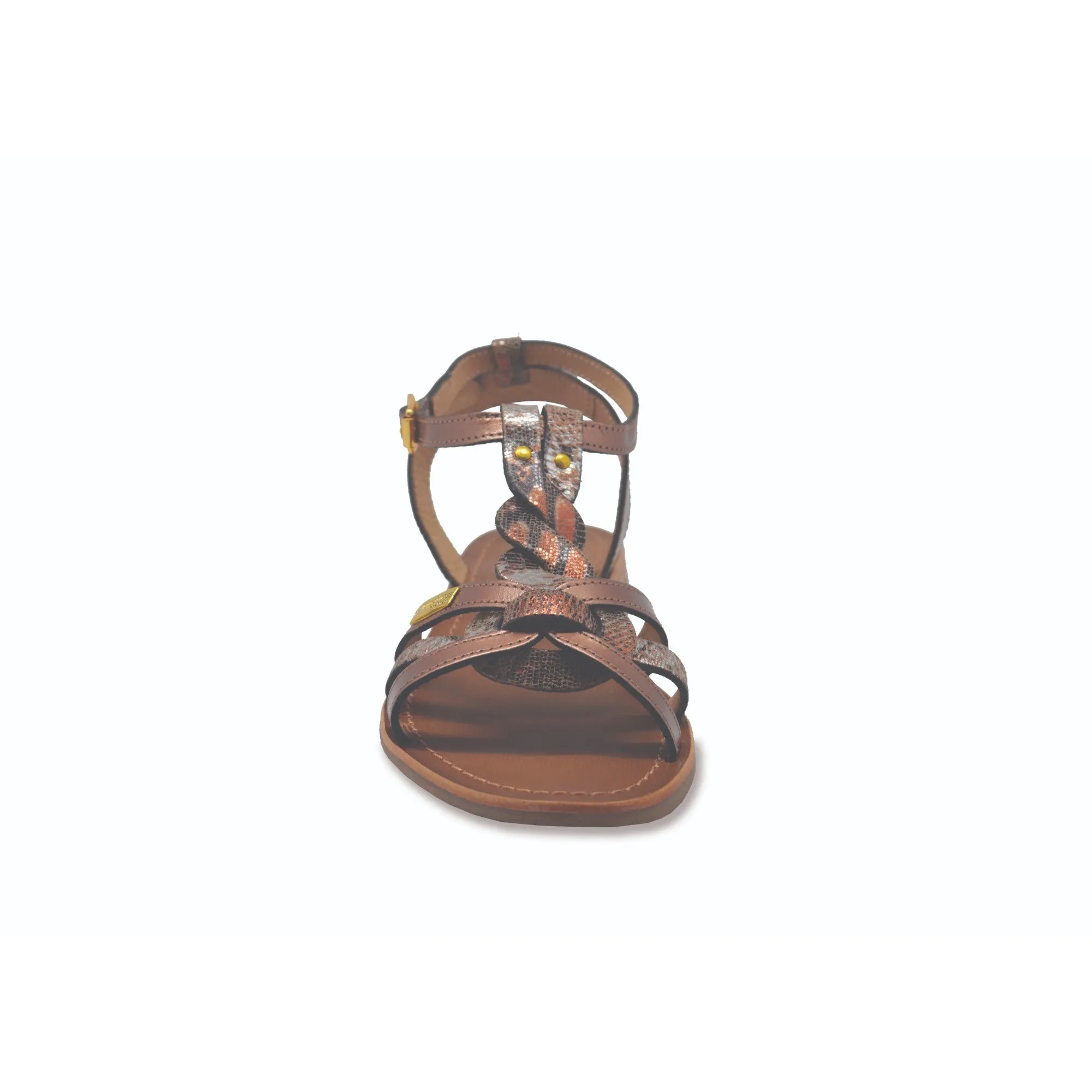 HAMS Bronze